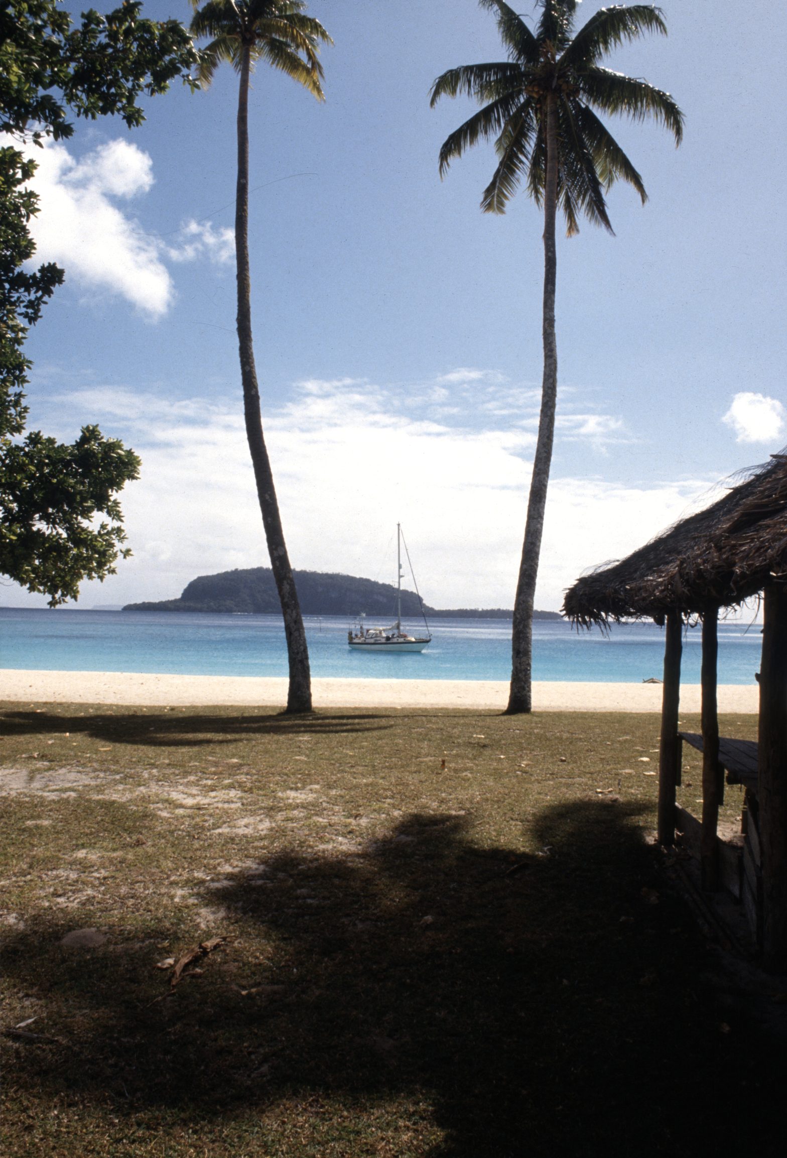 Boat at sea between two palm trees